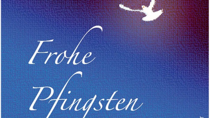 Das Bild zeigt einen Vogel im Flug vor einem blauen Himmel mit der Aufschrift 