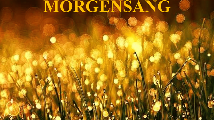 Gyldne solstråler, der skinner gennem højt græs og skaber en varm og fredfyldt stemning.