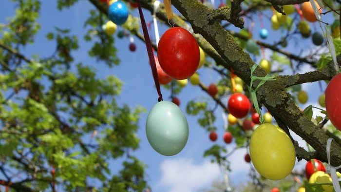 Bunte Ostereier hängen an einem Baum