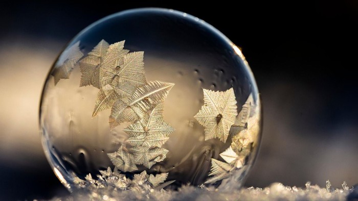 Et tæt billede af en snefnug, der hviler på en overflade, med en uskarp baggrund.