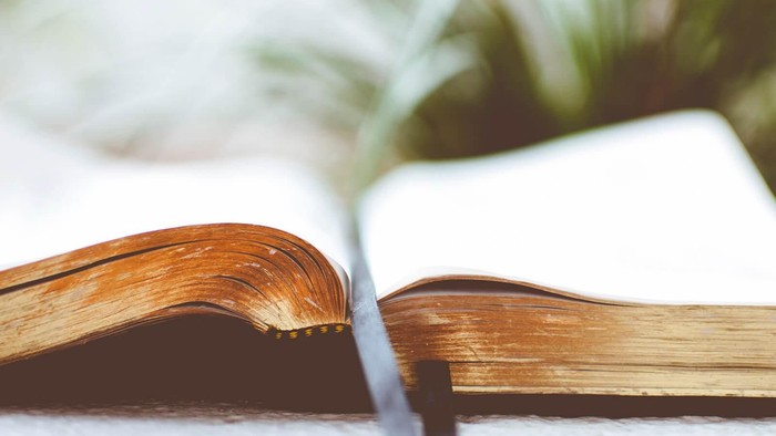 Offenes Buch auf weißem Tuch, unscharfe grüne Blätter im Hintergrund