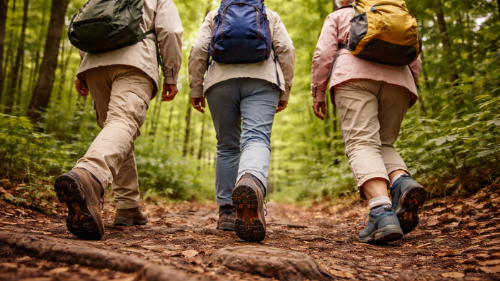 Drei Wanderer mit Rucksäcken, die auf einem bewaldeten Feldweg gehen.