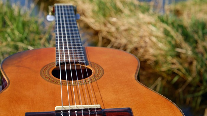 Eine Nahaufnahme der Saiten und des Stegs einer Gitarre vor einem natürlichen Outdoor-Hintergrund.