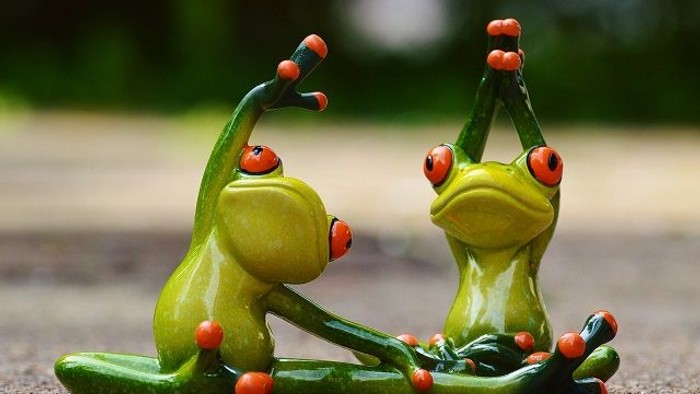 Zwei Frösche in Yoga-Posen auf Kies