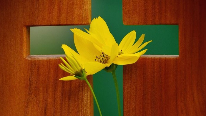 Eine gelbe Blume leuchtet aus einer kreuzförmigen Öffnung in einem Holz hervor