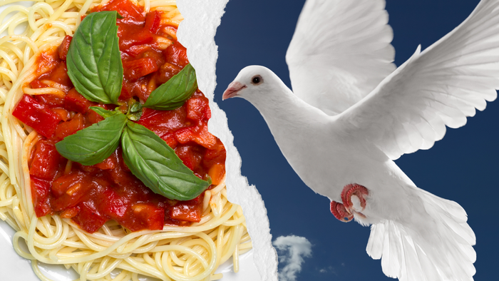 En hvid dunde flyver over en ret med spaghetti i tomatsaus og basilika.