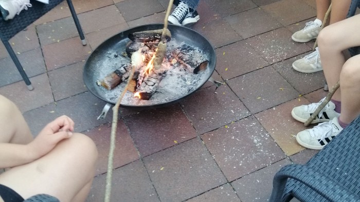 En gruppe af mennesker sidder omkring en brænder og ryster med marshmallows.