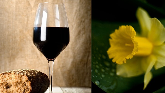 Elegant vinglas parret med gule påskeliljer og et rustikt brød på en tekstureret baggrund.