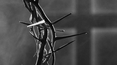 Et nærbillede i sort-hvid af en tornekrans på en tekstureret baggrund.