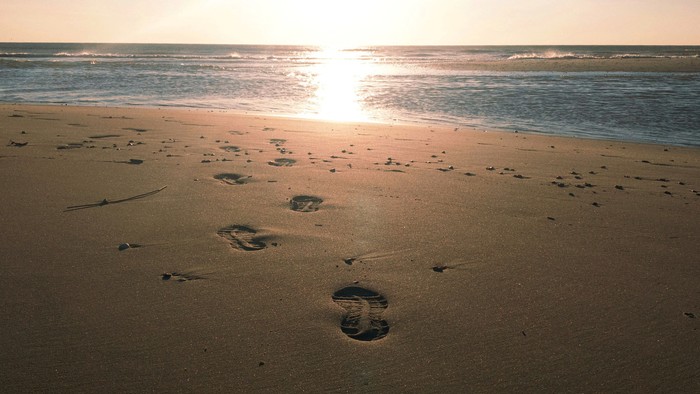 Footprints in sand near the ocean at sunset