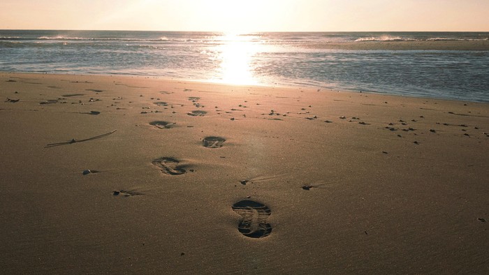 Footprints in sand near the ocean at sunset