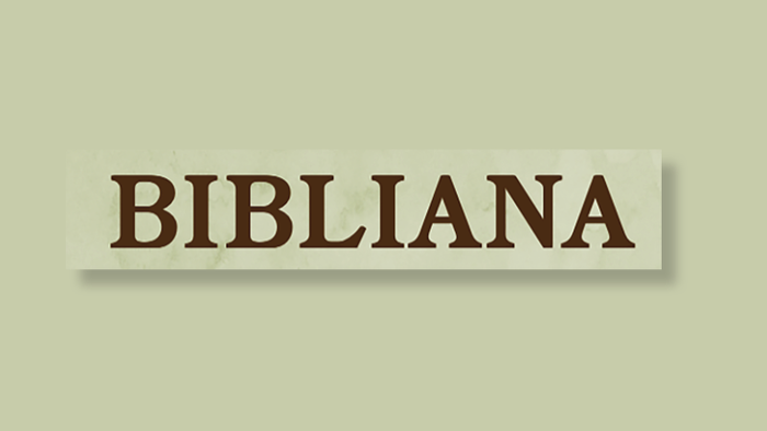 Billedet viser ordet 