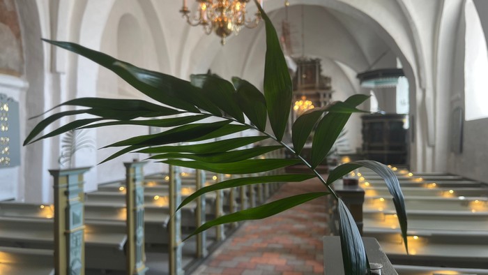 Palmegren i kirke