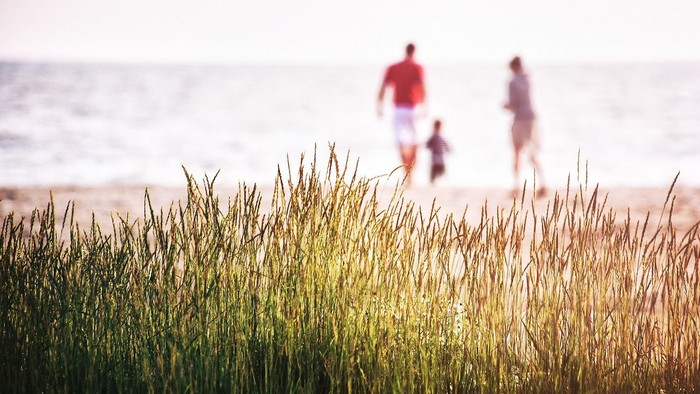Folk spadserer langs en strand med en hund, indrammet af højt græs nær kystlinjen.