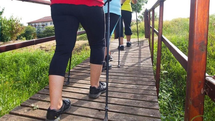 Drei Personen wandern auf einem Holzsteg in der Natur.