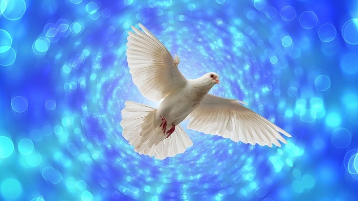 En fredfyldt hvid due flyver yndefuldt mod en lysende blå bokeh-baggrund.