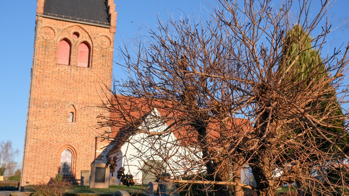 En rød murstenskirke med tårn og et træ uden blad.