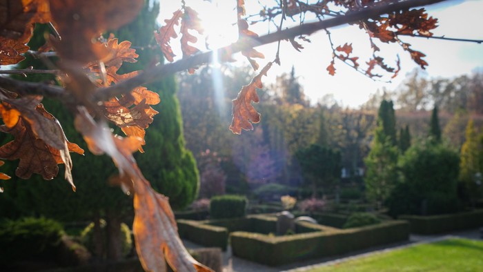 Sollys siler gennem efterårsløv over en velplejet have med nydeligt klippede hække og vandkunst.