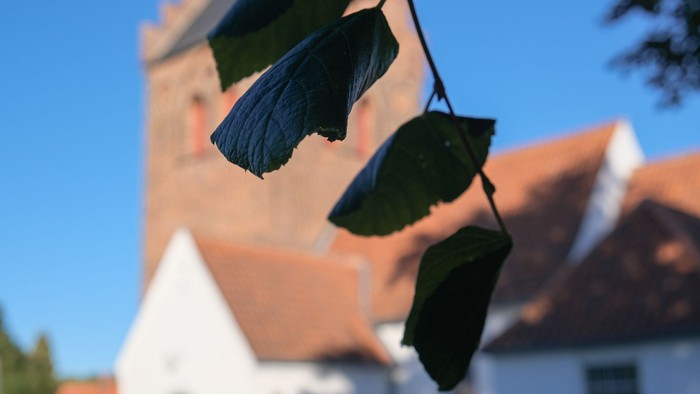 Blå paraplyer hænger foran hvidt hus med røde tag.