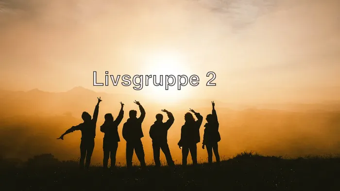 Livsgruppe 2 med silhouette af 6 mennesker ved solnegang