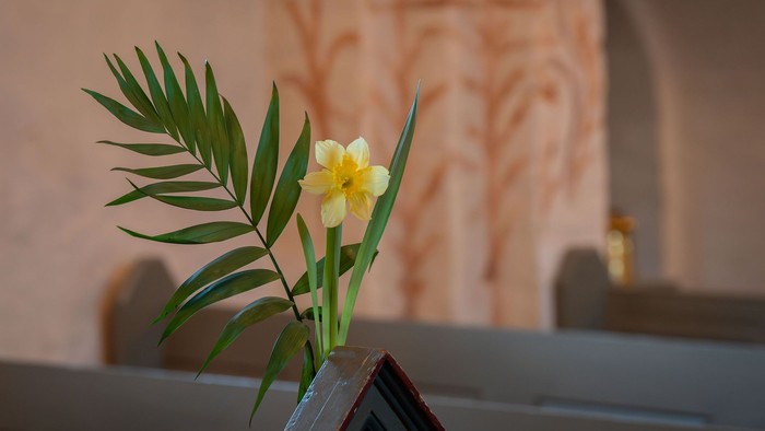 En delikat gul blomst med grønne blade står på en rustik træoverflade foran en struktureret væg.