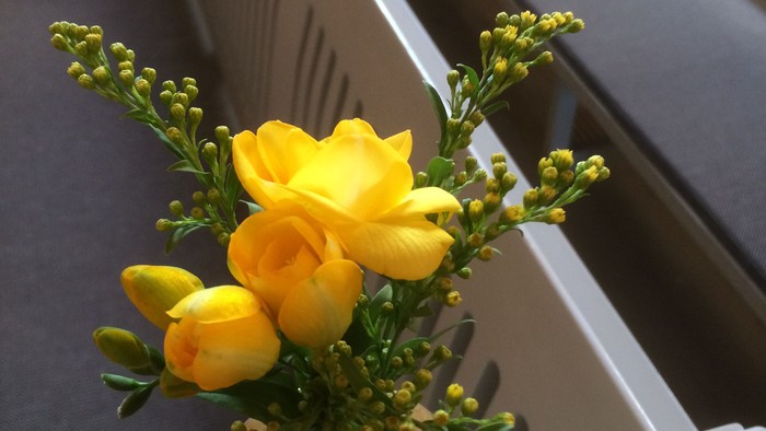 En lille blomstervase med gule blomster på en hvid fløjl