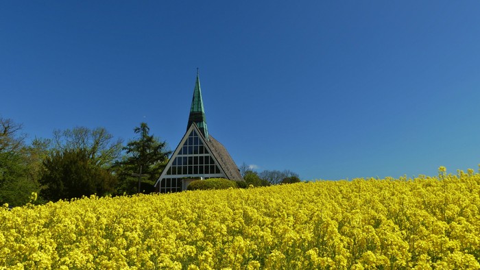Ein pyramidenförmiges Gebäude mit grüner Spitze inmitten gelber Blumen unter blauem Himmel