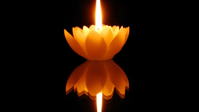 Eine orangefarbene Lotoskerze brennt vor einem dunklen Hintergrund