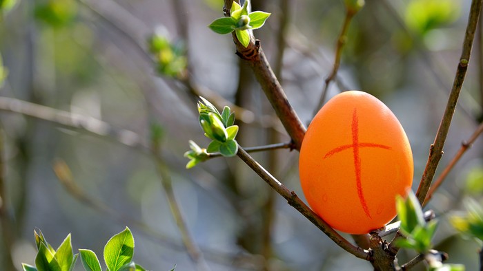 Ein leuchtend oranger Ballon hängt an einem Baumzweig mit grünen Blättern