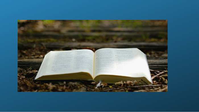 En åben bog ligger på en jordvej med løv og græs.