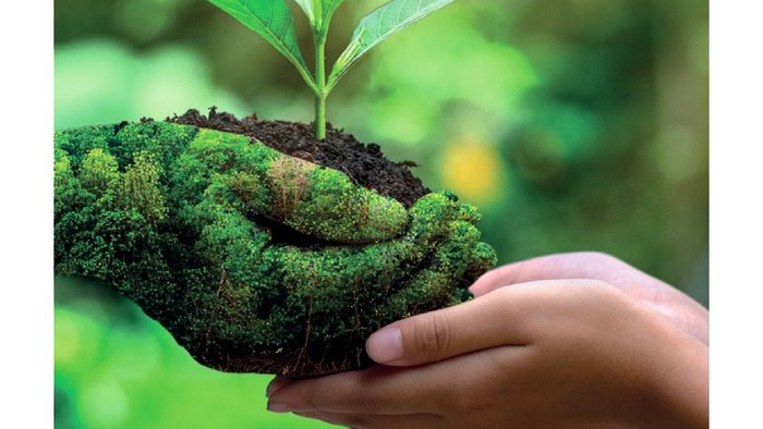 Hand hält kleine Pflanze in Erde, mit Bibelzitat in Deutsch