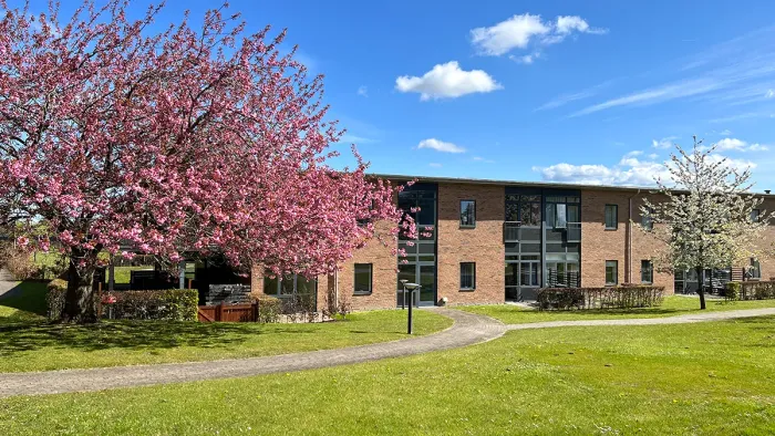 Skovsminde plejecenter med blomstrende japanske kirsebærtræer