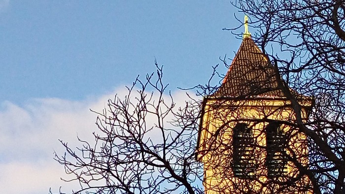 Bäume vor Kirche bei Sonnenuntergang
