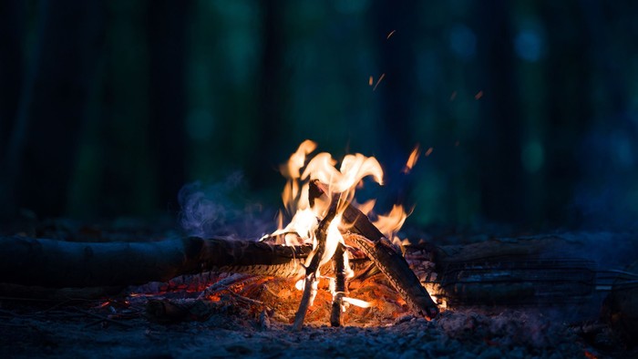 Ein knisterndes Lagerfeuer brennt hell in einer schwach beleuchteten Waldkulisse und wirft warme Flammen in die Nacht.