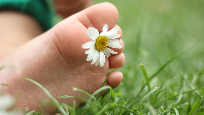 Ein nackter Kinderfuß hält eine weiße Gänseblümchen auf grünem Gras.