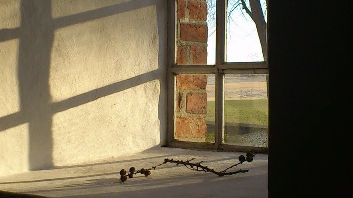 En række småkøler går på vindueskanten ved et stenhus.