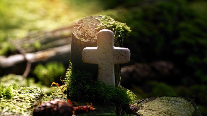 Ein verwittertes Kreuz liegt auf einem moosbedeckten Baumstumpf im Wald.