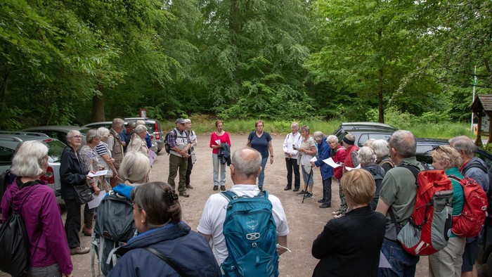 En gruppe af turister med rygskuder og køler i skovmiljø