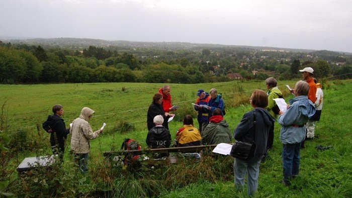 En gruppe af naturentusiaster står i en eng og observerer og noterer naturen