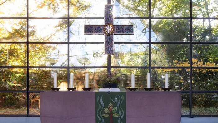 Modernes Zimmer mit großen Fenstern, rosafarbenem Sofa und grüner Kunst