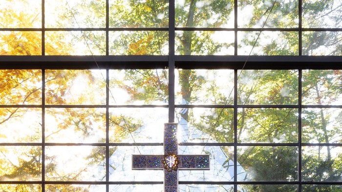 Modernes Zimmer mit großen Fenstern, rosafarbenem Sofa und grüner Kunst