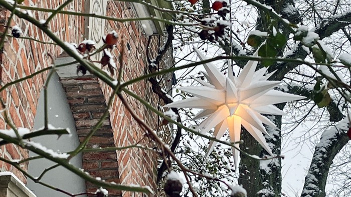 Weihnachtsstern an einem schneebedeckten Baum