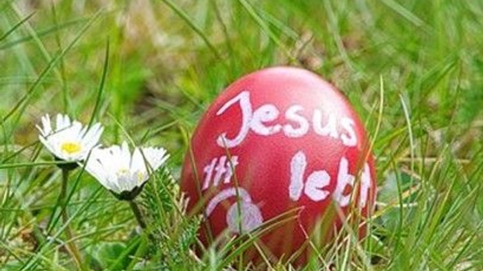 Ein rotes Osterei mit der Aufschrift „Jesus lebt“ liegt im Gras neben einer weißen Blume.
