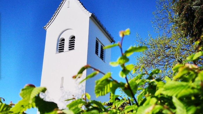 Weiße Kirche mit Turm hinter Grünpflanzen unter blauem Himmel