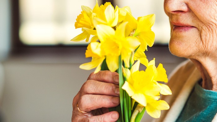 En ældre kvinde holder en bunch gule tulipaner.