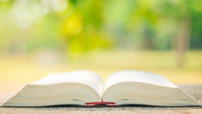 Ein offenes Buch mit einem roten Lesebändchen vor einem unscharfen grünen Hintergrund im Freien.