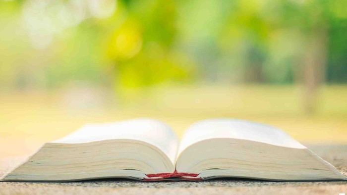 Ein offenes Buch mit einem roten Lesebändchen vor einem unscharfen grünen Hintergrund im Freien.