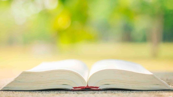 Ein offenes Buch mit einem roten Lesebändchen vor einem unscharfen grünen Hintergrund im Freien.