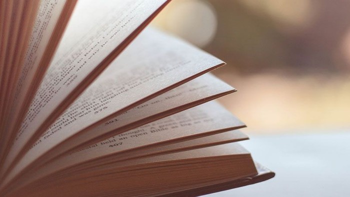 Ein offenes Buch mit Seiten, die Text zeigen, vor einem sanft verschwommenen Hintergrund.