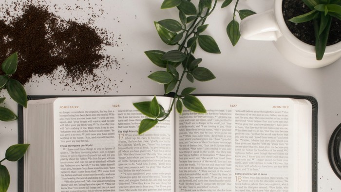 Ein Buch liegt offen neben einer Tasse und grünen Blättern auf einem Tisch